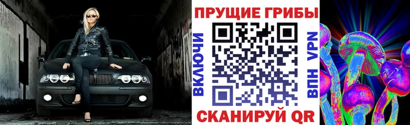 Галлюциногенные грибы GOLDEN TEACHER  Старая Русса 