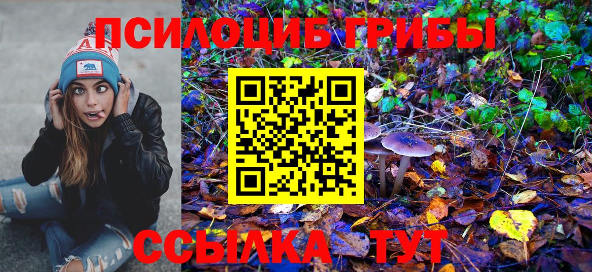 Псилоцибиновые грибы GOLDEN TEACHER Старая Русса