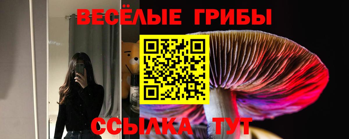 Галлюциногенные грибы Cubensis  Псилоцибиновые грибы ЛСД  Старая Русса  Вход с VPN 